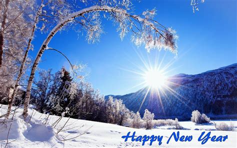 happy new year scenery|More.